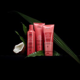 Nutriplenish® Shampoo Deep Moisture - Champú hidratación profunda