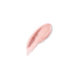 The Lip Polish - Exfoliante de labios 