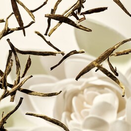 The Ritual of Karma - Set de Baño y Cuerpo
