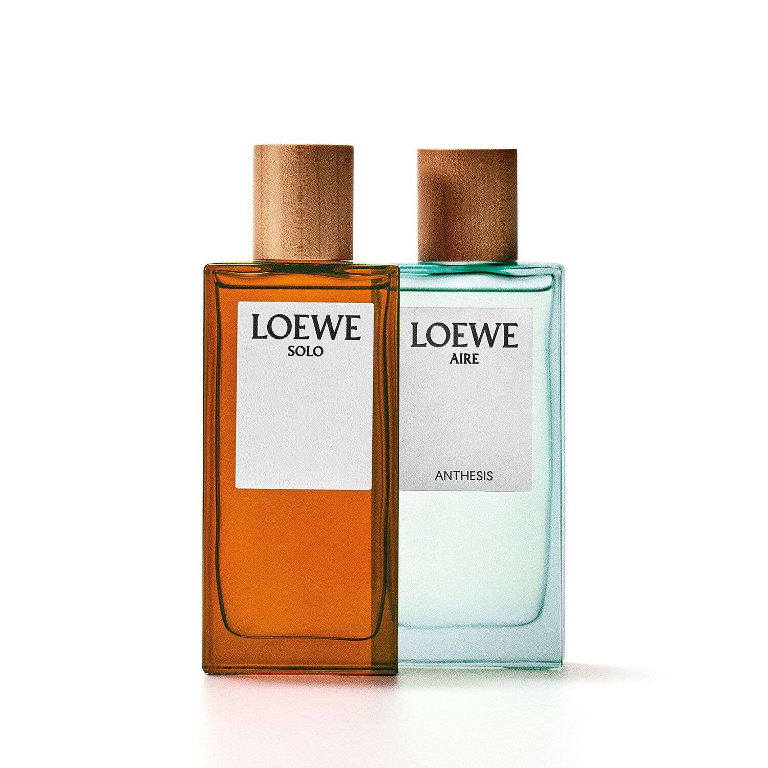 Solo loewe sephora top