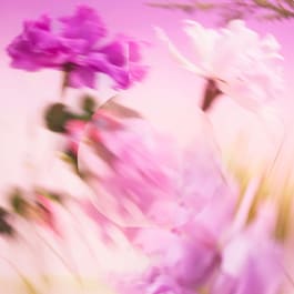CHANCE EAU SPLENDIDE - Eau De Parfum Vaporizador