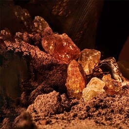 Terrae Essence - Pefume Hombre