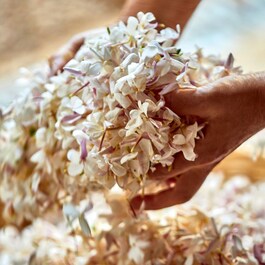 J'adore - Eau de parfum para mujer - Notas florales y afrutadas