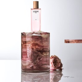 The product image is missing!