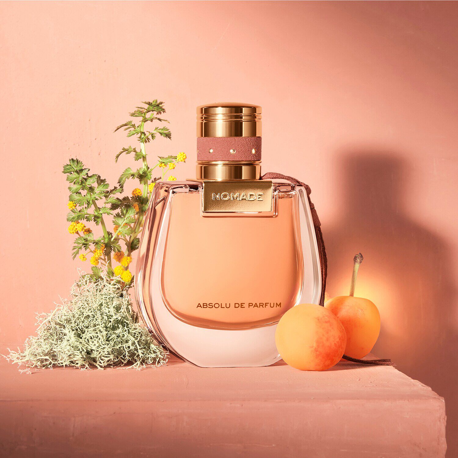 Chloe absolu 2025 de parfum pantip