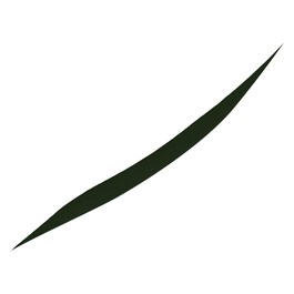 Giorgio Armani Eyes to Kill Designer Eyeliner-Delineador Ojos