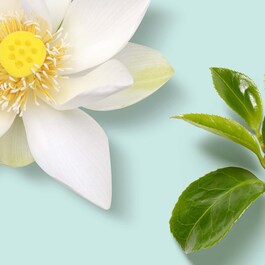 The Ritual of Karma - Aceite corporal of RITUALS ≡