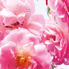 Miss Dior Rose N'Roses - Eau de Toilette Vapo