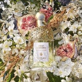 Aqua Allegoria Nerolia Vetiver - Eau de Toilette