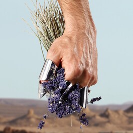 K By Dolce and Gabbana - Eau de Toilette