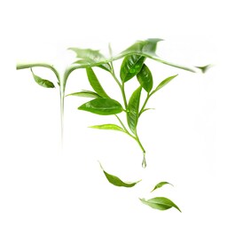 UFO Green Tea - Mascarilla facial purificante