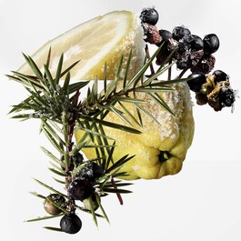 Terre d'Hermès Eau Givrée - Perfume para Hombre Eau de Parfum