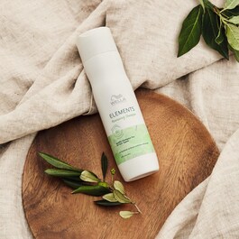Elements - Champú para todos los tipos de cabello 