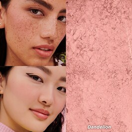 Dandelion WANDERful World-Blush Colorete 