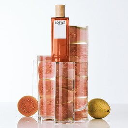 Loewe Solo EDT