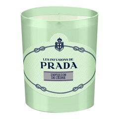 Prada Candle - Infusion de Cèdre, Prada