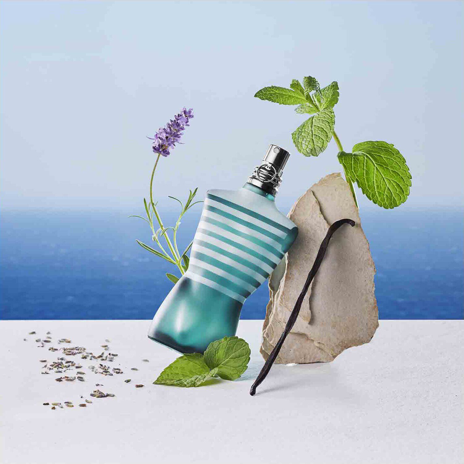 Jean paul gaultier le male opiniones discount
