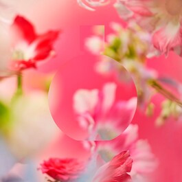 CHANCE EAU TENDRE - Eau De Parfum Vaporizador 
