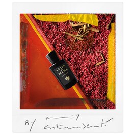 Signatures of the Sun Oud & Spice - Eau de Parfum Amaderado especiado