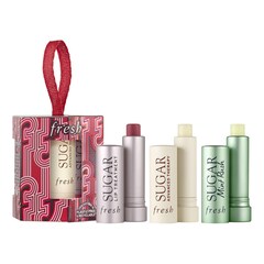 Tint & Treat Lip Care Set - Set para el tratamiento y tintado de los labios, FRESH