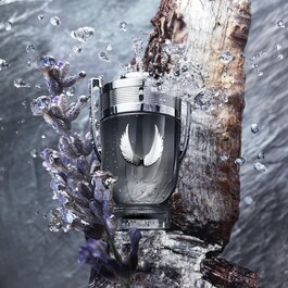 Invictus platinum - Eau de parfum 