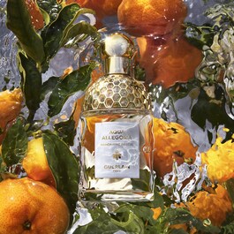 Aqua Allegoria Bergamot Calabria - Estuche de perfume EDT