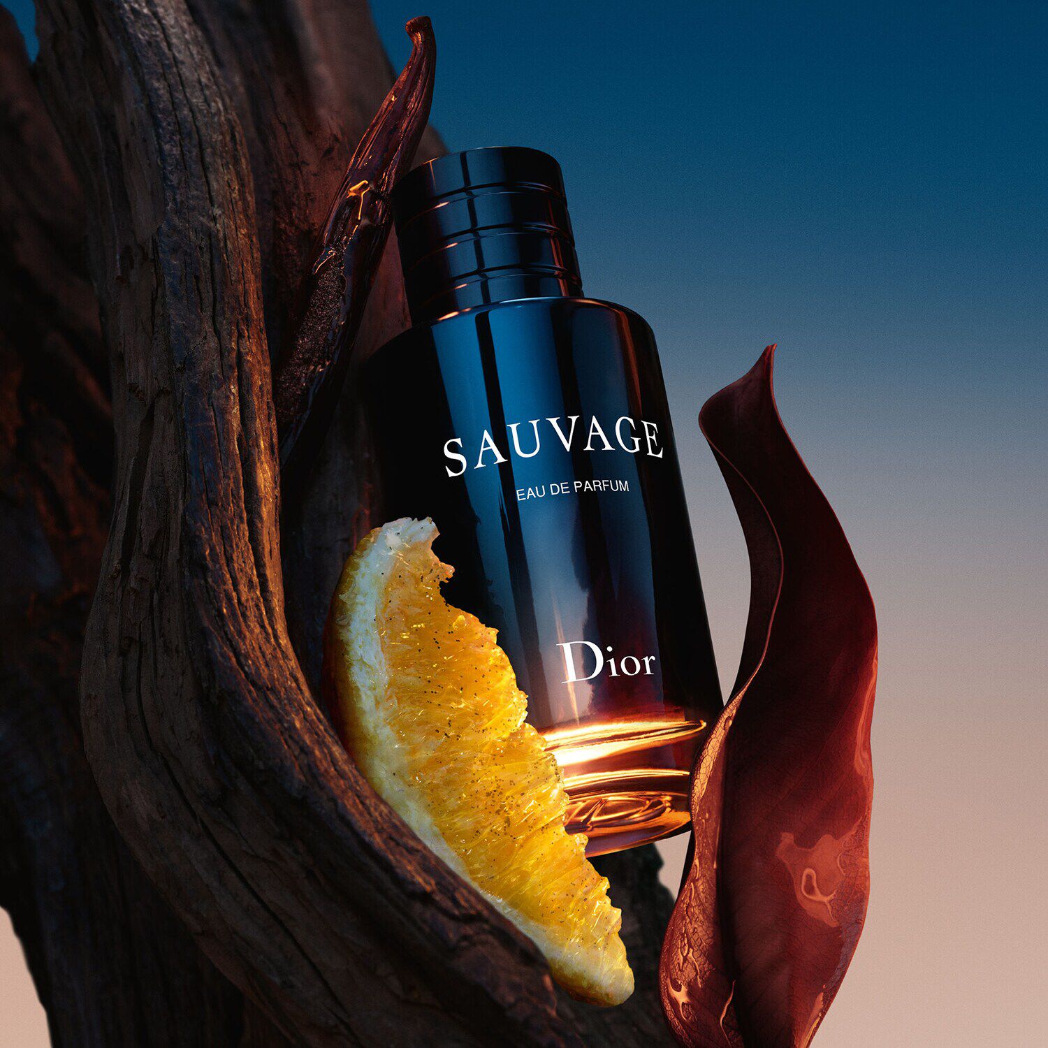 Sauvage DIOR Eau de Parfum para hombre SEPHORA