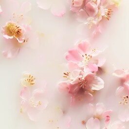 The Ritual of Sakura - Vela Perfumada