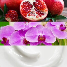 Euphoria - Eau de Parfum