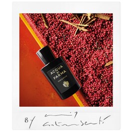 Signatures of the Sun Oud & Spice - Eau de Parfum Amaderado especiado