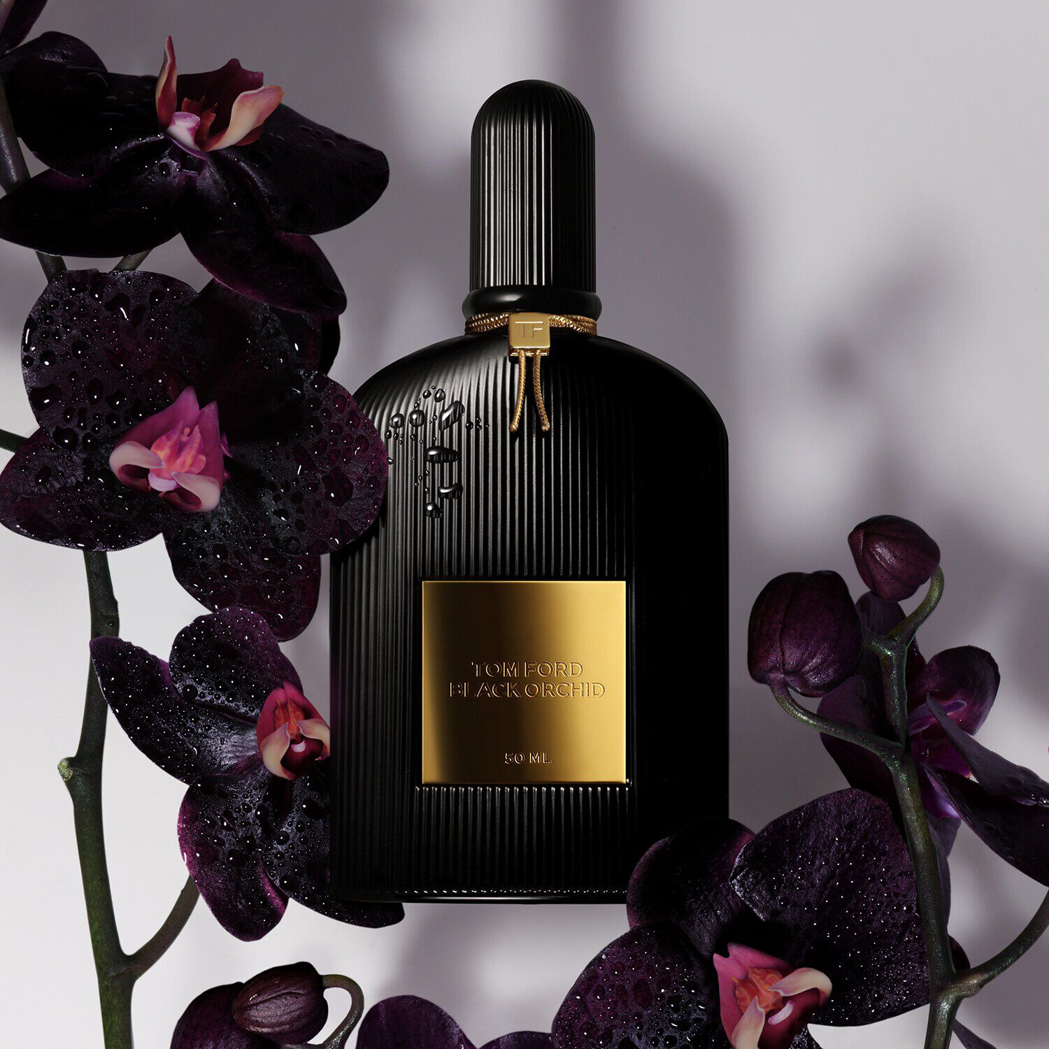 Orquidea negra perfume mujer hotsell