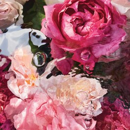 Aqua Allegoria Rosa Rossa - Eau de Toilette 