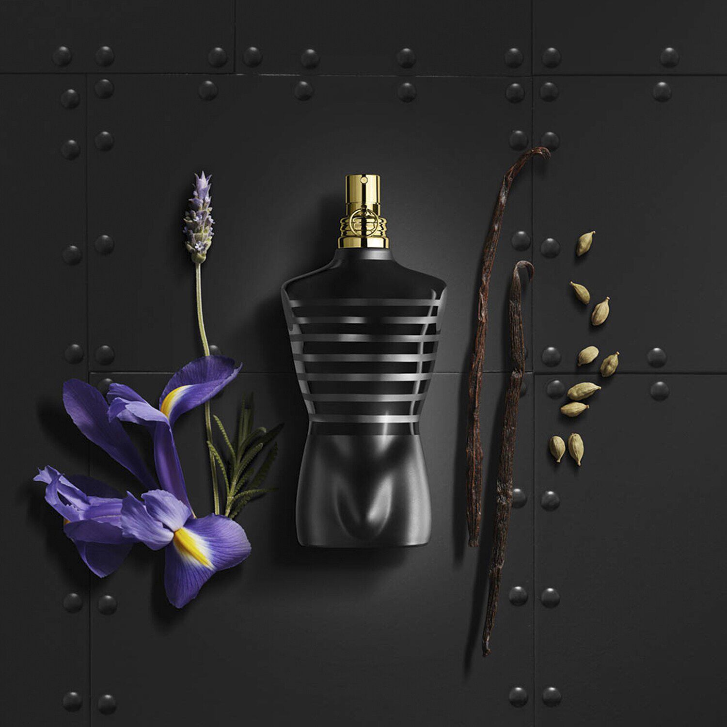 Le Male Eau de Parfum