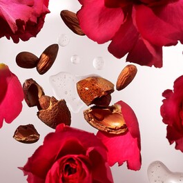 The Ritual of Ayurveda - Champú