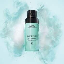 Shampowder Dry Shampoo - Champú Seco