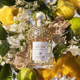 Aqua Allegoria Bergamota Calabria - Eau de Toilette