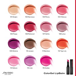 Shiseido Colorgel Lipbalm-Bálsamo Labial 