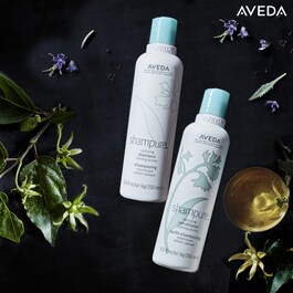 Shampure - Champú Nutritivo