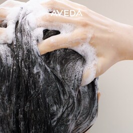 Scalp Solutions - Champú equilibrante