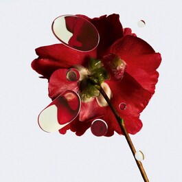 N°1 DE CHANEL - Crema revitalizante