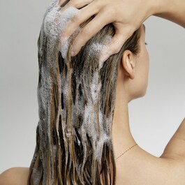 Frizz Control Shampoo - Champú antiencrespamiento