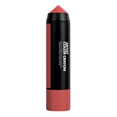 Artist Color Crayon - Stick crema multiusos, Make Up For Ever