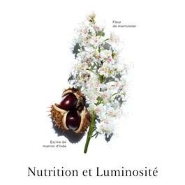 Nutri-Lumiére Anti-Age -  Esencia Renovadora