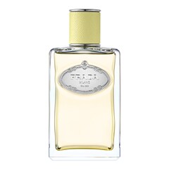 Les Infusions Gingembre - Eau de Parfum Fragancia Unisex Cítrica Amaderada, Prada