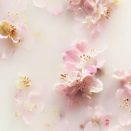 The Ritual of Sakura - Mini set de regalo de baño y cuerpo