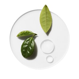 The product image is missing!
