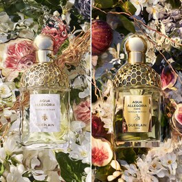 Aqua Allegoria Forte - Nerolia Vetiver - Eau De Parfum