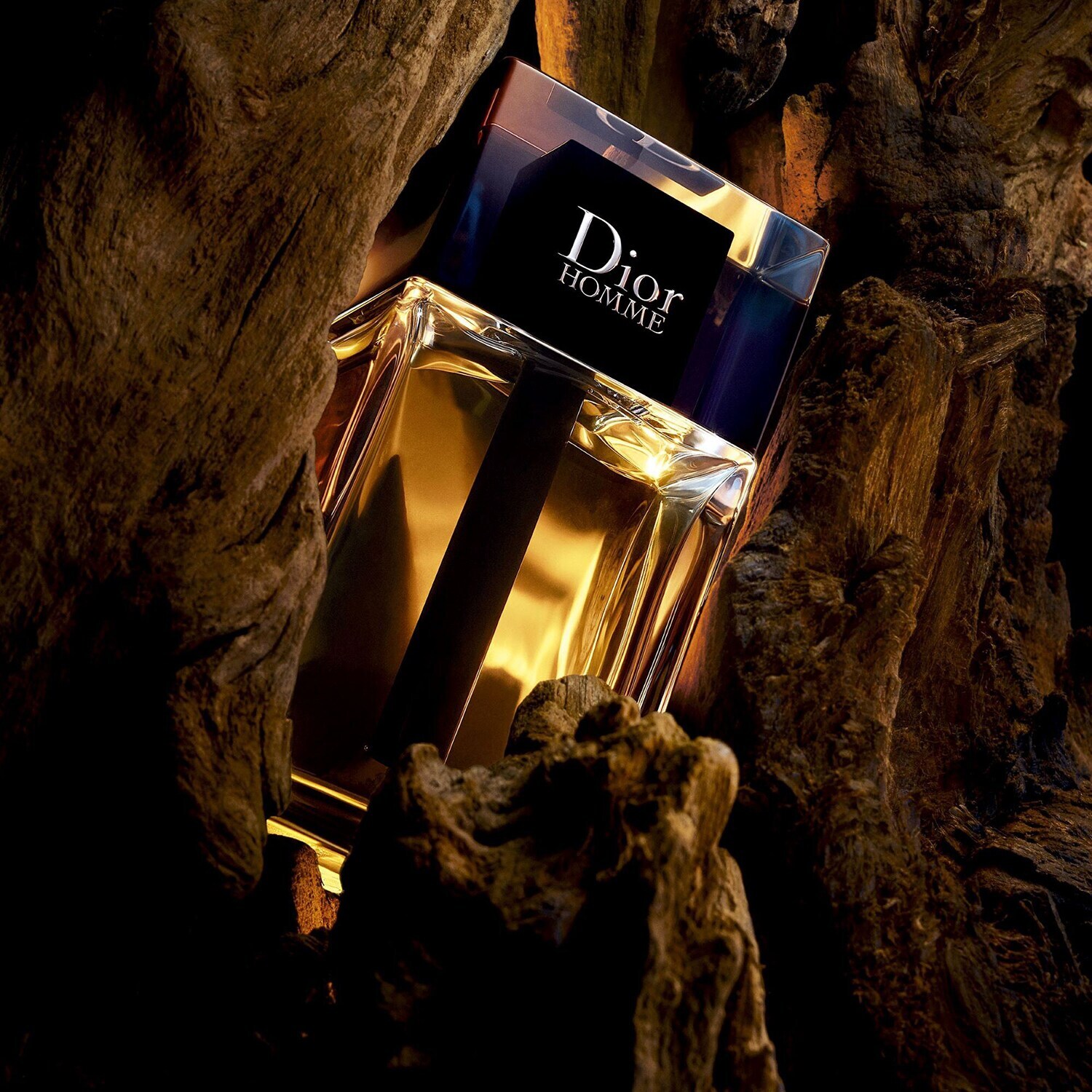 Dior Homme eau de toilette para hombre notas olfativas amaderadas