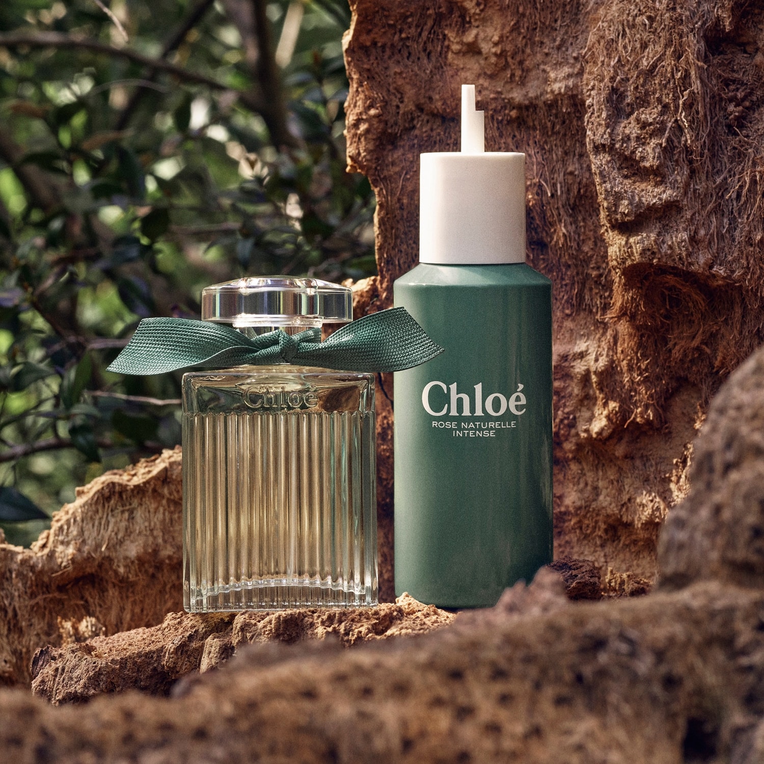 Olympéa Flora Intense Eau De Parfum: Unveiled - jfkcy3y