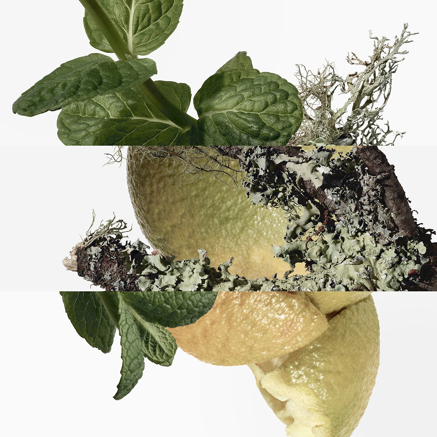 Eau d'orange Verte - Eau de Cologne of HERMÈS ≡ SEPHORA